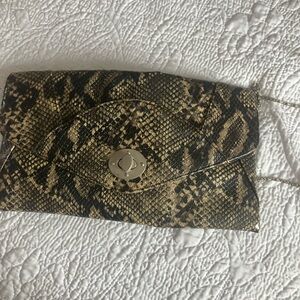 Snakeskin Pattern Clutch Bag